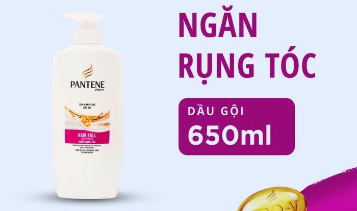 Dầu gội Pantene Hair Fall Control chống rụng tóc hiệu quả 650 ml