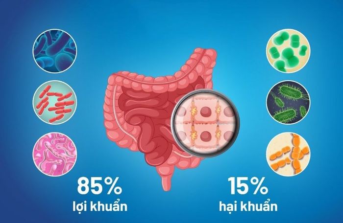 Trẻ sinh mổ thường thiếu hụt lợi khuẩn đường ruột
