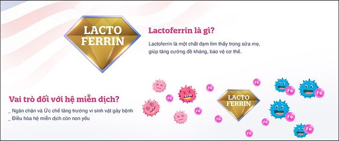 Lactoferrin là một dưỡng chất quan trọng được tìm thấy trong sữa mẹ giúp chống lại vi khuẩn, vi rút