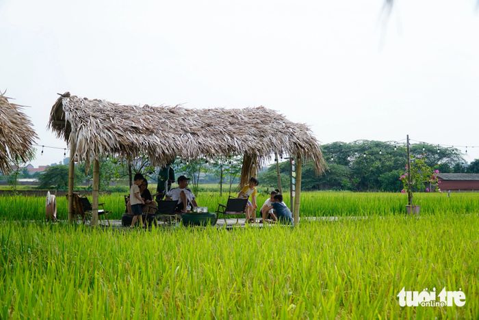 Với không gian gần gũi với thiên nhiên, quán cà phê độc đáo này là điểm đến được nhiều gia đình yêu thích tìm đến vào những ngày cuối tuần.