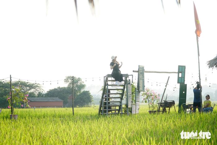 Cánh đồng lúa thơ mộng trong ánh chiều