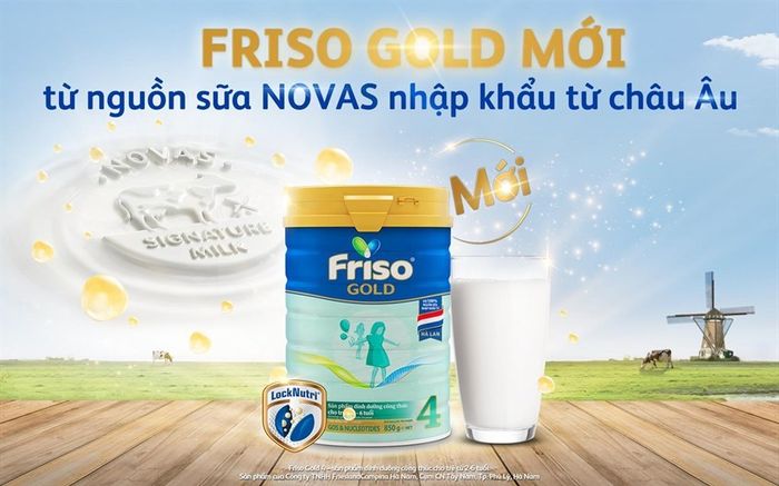 Sữa bột Friso nổi tiếng với nguồn sữa chất lượng và quy trình sản xuất đạt chuẩn Châu Âu.