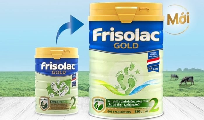 Sữa bột Friso Gold số 2 850g (6 - 12 tháng)