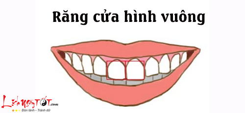 Tuong rang cua tiết lộ bản chất con người thực sự của bạn hình ảnh gốc