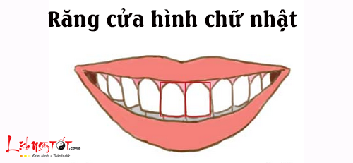 Tướng răng cửa tiết lộ bản chất con người thực sự của bạn trong hình ảnh gốc