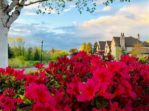 Dự báo tử vi tuần mới cho Nhân Mã