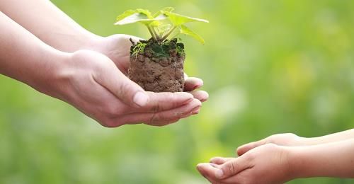 cho đi chính là nhận lại