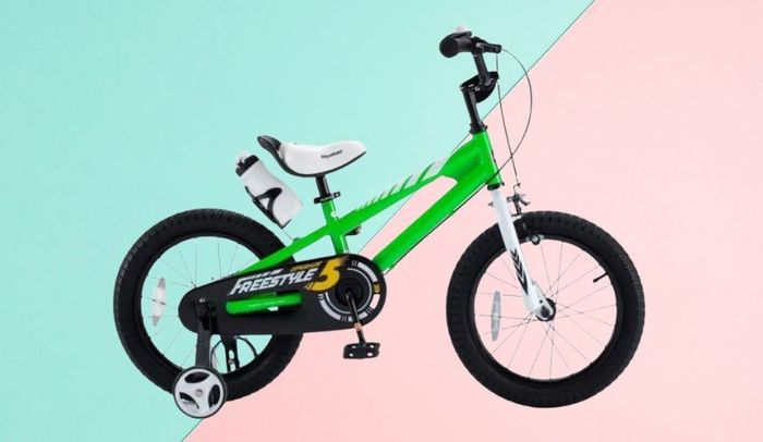 Xe đạp trẻ em RoyalBaby Freestyle RB16B-6 16 inch