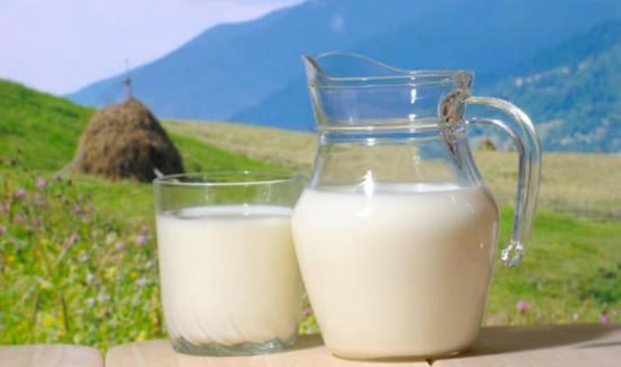 Vitamin và khoáng chất là dưỡng chất quan trọng giúp cải thiện hệ miễn dịch