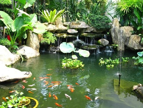 Kích hoạt phong thủy tại hướng Đông Nam.