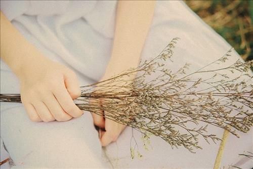 Ai biết giả khờ...