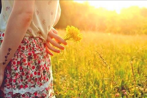 Ai biết giả khờ...