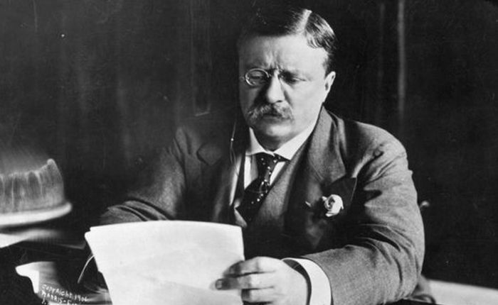 Phương pháp làm việc sâu theo phong cách Teddy Roosevelt