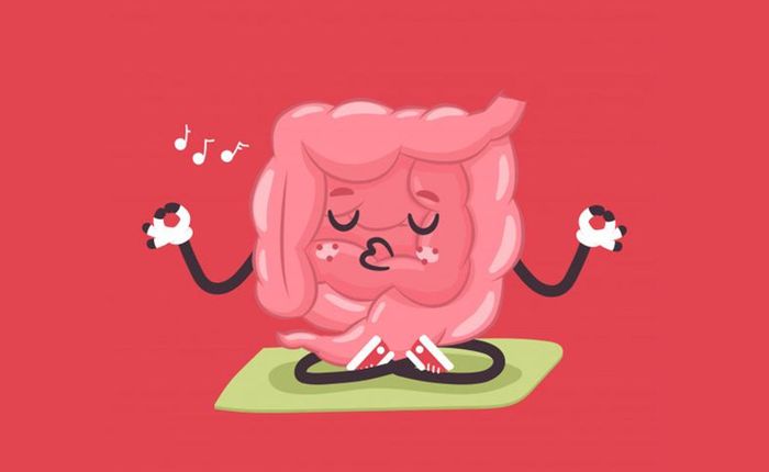 Điều bạn có thể chưa biết: Ruột - bộ não thứ hai đang thống trị bộ não thứ nhất
