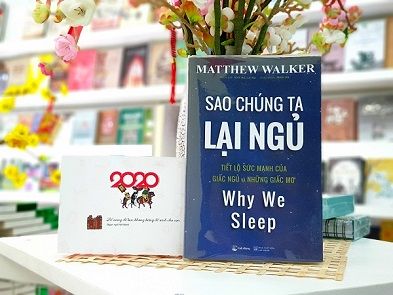 Giấc ngủ giúp tái tạo bộ nhớ: Trước và sau khi học tập