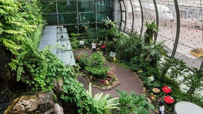 Khu vườn bươm bướm ở nhà ga T3 sân bay quốc tế Changi