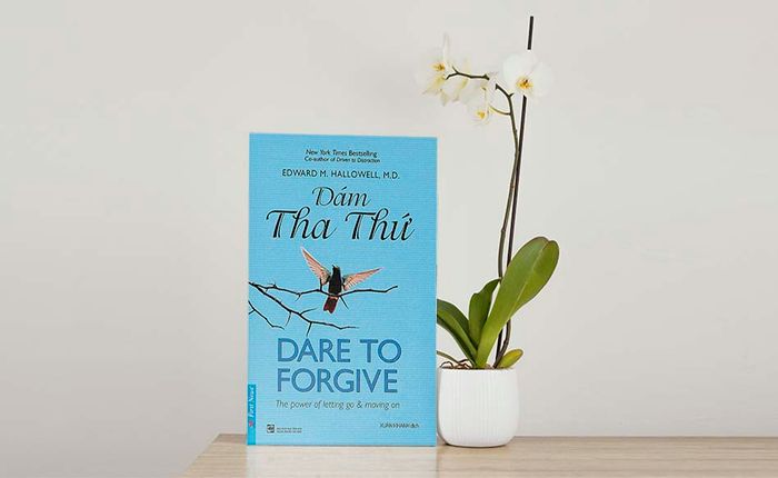 XOÁ NỖI OÁN GỖ - Món “trả thù” ngọt ngào từ tâm hồn