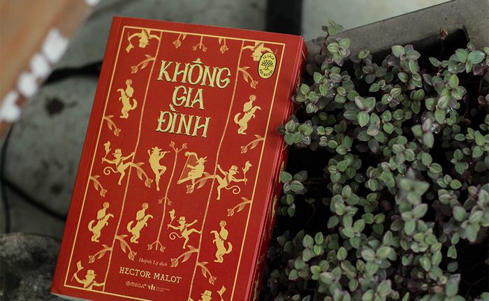 KHÔNG GIA ĐÌNH: Cuốn sách đặc biệt về giáo dục và xã hội