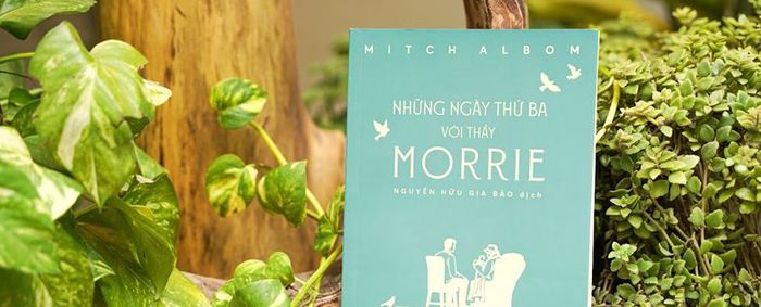 Các trang sách mang lại nhiều giá trị về người thầy.