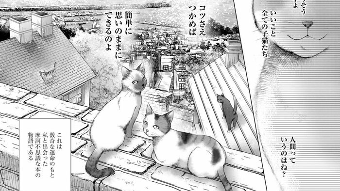 manga