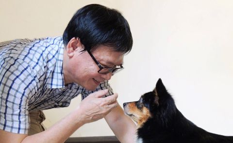 Tình yêu dành cho các chú chó qua trang sách