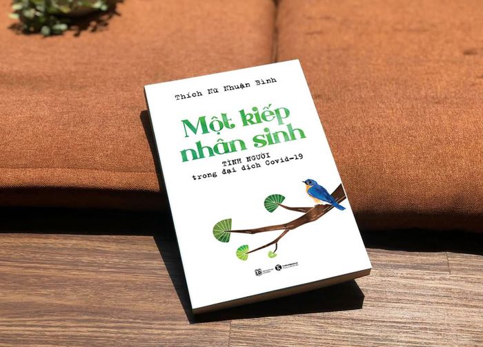 Đời người trong cơn đại dịch