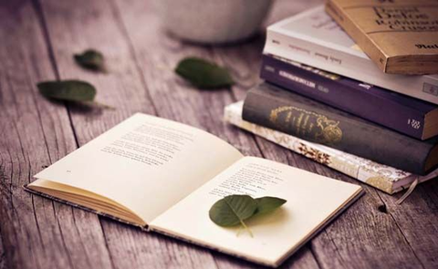 Văn học và văn chương hiện đại qua một góc nhìn mới