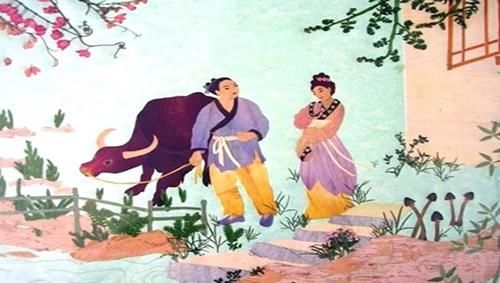 chọn vợ theo tông, chọn chồng theo giống