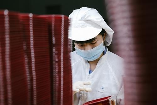 Tuổi Dần sẽ là người may mắn nhất trong công việc vào ngày 4/6/2024