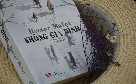 “Không Gia Đình” – Hector Malot – Hình Ảnh Cậu Bé Remi Lạc Lõng Trong Chính Bản Thân