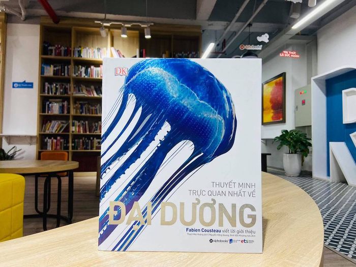 Giải thích trực quan nhất về Đại Dương