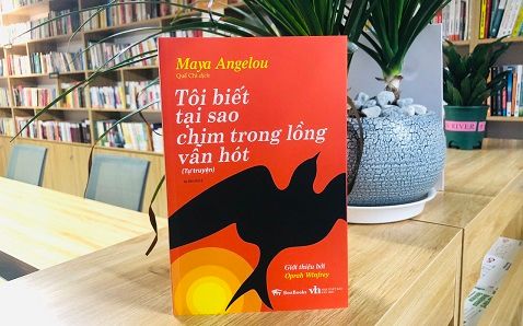 Tôi hiểu vì sao chim trong lồng vẫn hót