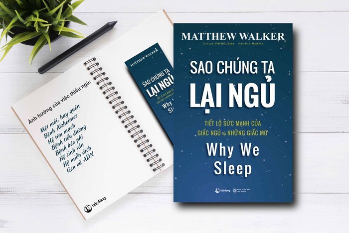 'Tại sao ta cần ngủ?' - Tôn trọng giấc ngủ để có sức khỏe, sống lâu và thành công