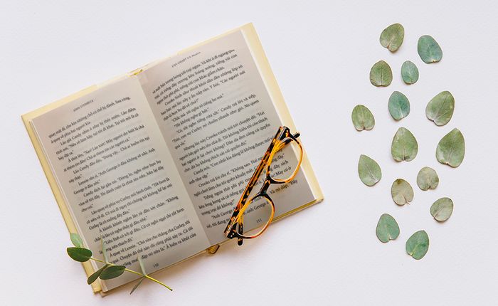 Cuộc chiến của chuột, con người và lỗ thông hơi