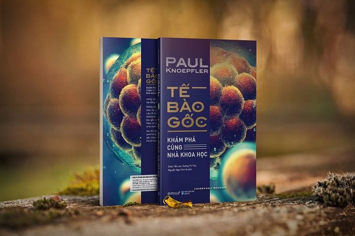 Tế bào gốc:  một điều kỳ diệu hiện hữu trong cơ thể bạn
