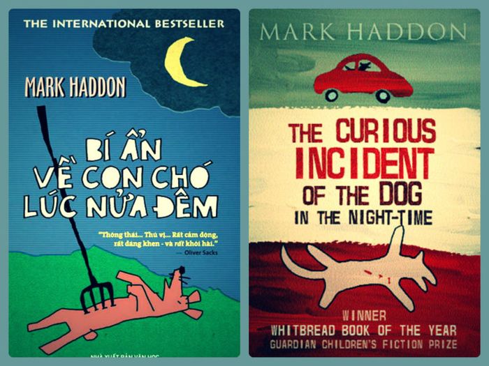 Bí ẩn của chú chó giữa nửa đêm: Sự thấu hiểu cuối cùng