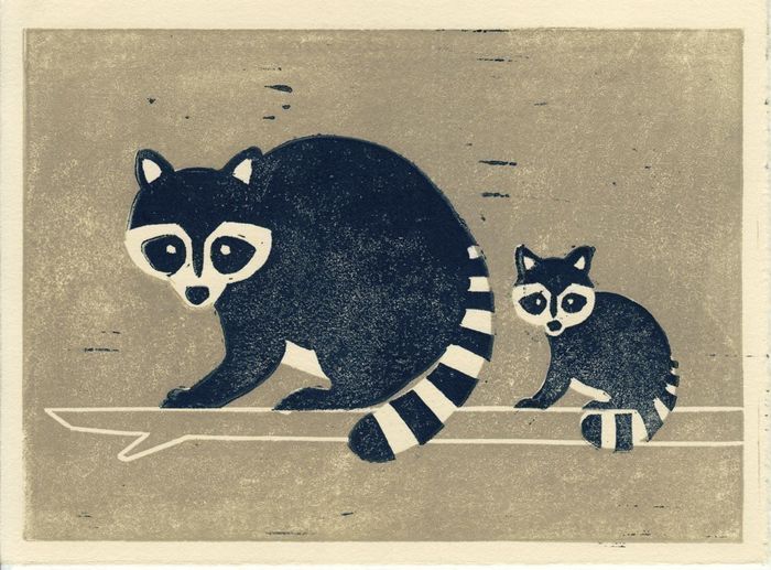 Tìm kiếm hình ảnh cho minh họa về con raccoon