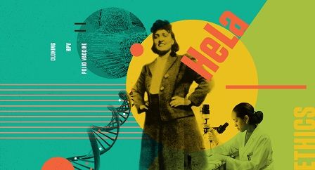 Hành trình vĩ đại của Henrietta Lacks và câu chuyện lịch sử đầy cảm hứng trong y học