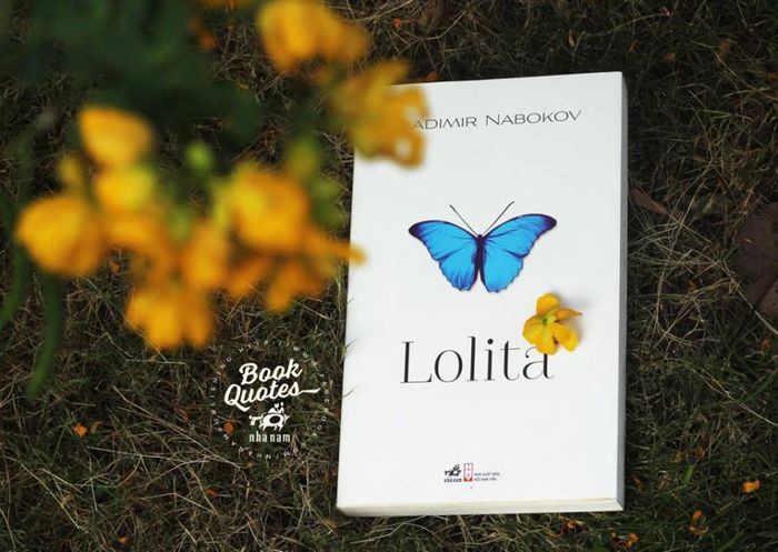 Lolita: không chỉ là một câu chuyện đơn thuần về việc lôi kéo và cám dỗ