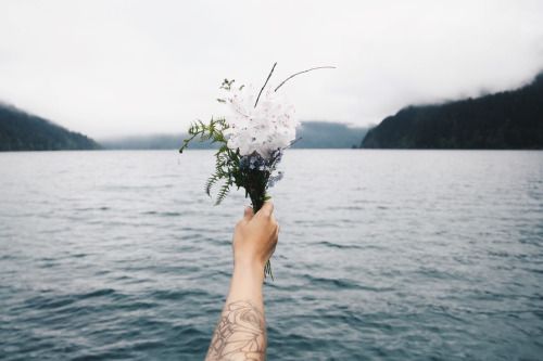 Tuổi 20 - Tôi đã sống như một bông hoa dại: Chất men yêu ngày tuổi trẻ