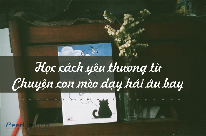 Được bài học từ một chú mèo và một chú chim