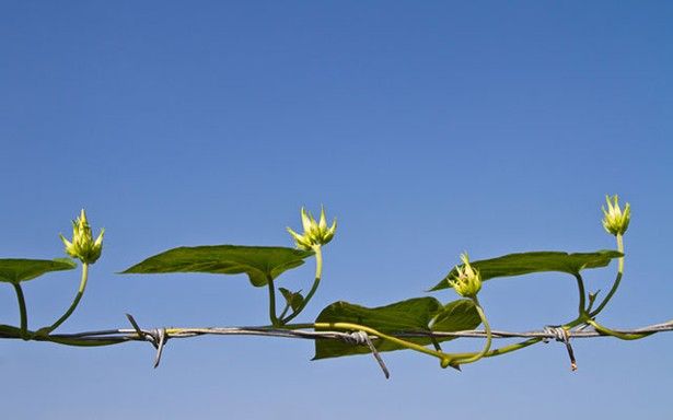 Hãy tìm kiếm lẽ sống của bạn thay vì chỉ theo đuổi hạnh phúc