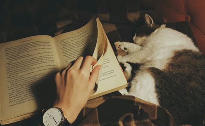 5 cuốn sách xuất sắc để vượt qua tình trạng lo lắng và trầm cảm
