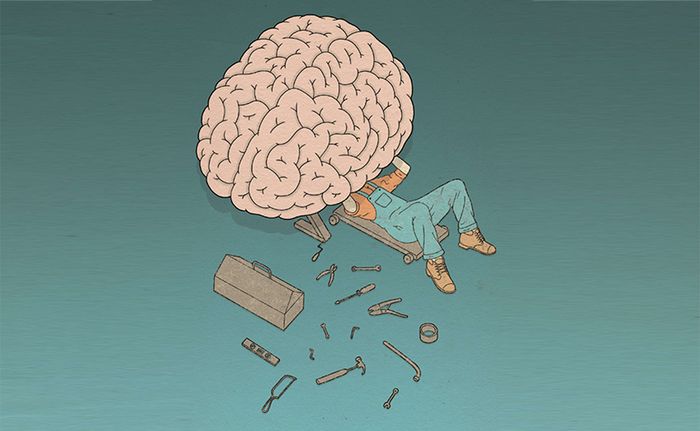 Bộ não, biên giới cuối cùng và vĩ đại nhất, giới hạn tâm trí của con người.