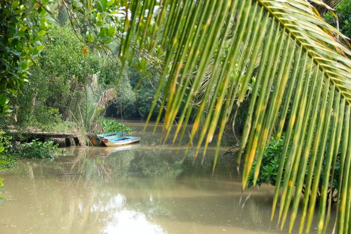 Khung cảnh yên bình trên cồn Sơn, Cần Thơ - (Ảnh: QUÂN NAM)