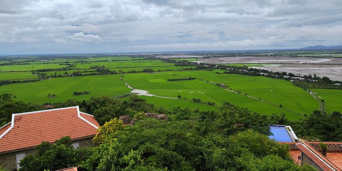 Cánh đồng lúa Châu Đốc nhìn từ núi Sam - (Ảnh: QUÂN NAM)