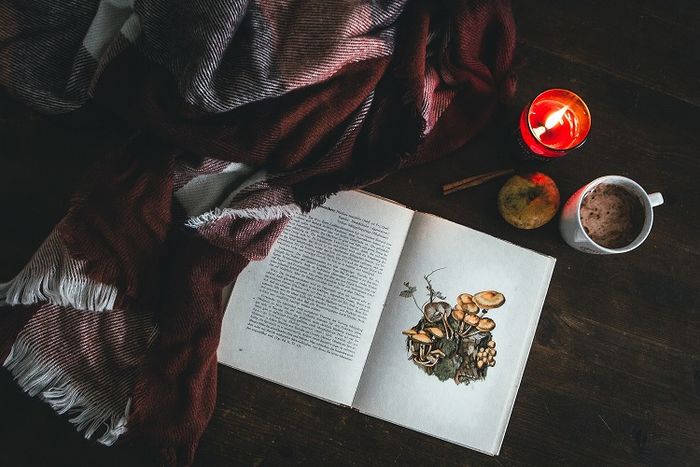 5 cuốn sách không thể bỏ qua cho các độc giả nhỏ trong mùa Giáng sinh này