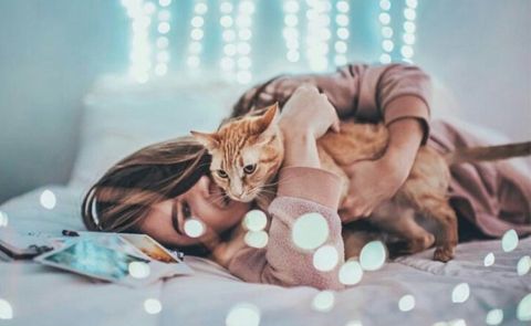 10 cuốn sách về mèo cho những ai yêu thích động vật này
