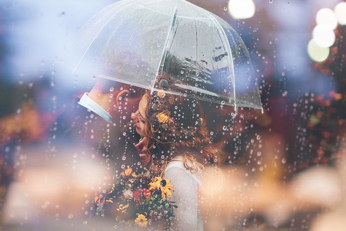 Hãy dành toàn bộ tuổi thanh xuân của bạn để yêu một người: 5 cuốn sách về tình yêu đáng đọc trong những ngày mưa