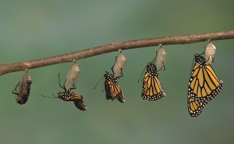 5 quyển sách sẽ đổi thay con người bạn từng biết
